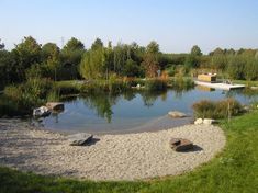 a small pond surrounded by rocks and grass