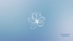 a white flower on a blue sky background