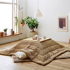 a living room with a coffee table, potted plant and rug on the floor