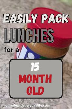 lunches for a 15 month old are easy to pack and have fun on the go