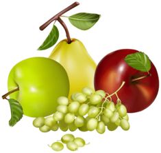 apples, grapes and pears on a white background