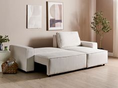 a white couch sitting on top of a hard wood floor next to a potted plant