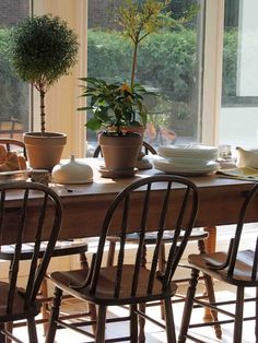 a dining room table with four chairs and a potted plant in the center on top