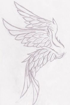 Wings Sketch, Angel Wings Drawing, Wings Drawing, Wings Art, 캐릭터 드로잉, Wings Tattoo, Concept Art Drawing, Book Art Drawings