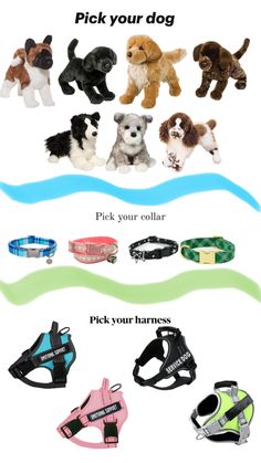 several different types of dog collars and leashes for dogs with their names on them