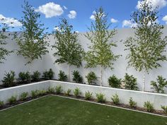 an empty backyard with grass and trees in it