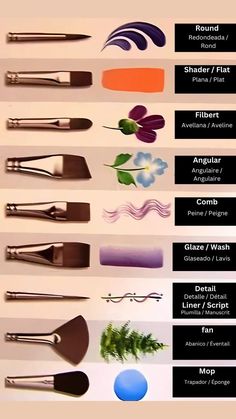 the different types of paint brushes are shown in this diagram, with their names and colors