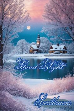 a christmas card with the words good night and a snowy lake in front of it