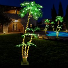 lighted palm trees in front of a pool at night