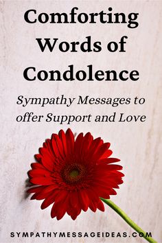 Comforting Words of Condolence: Sympathy Messages to Offer Support and Love Words Of Sympathy Condolences Messages Sayings, Short Condolence Message For Mother, Sincere Sympathy Condolences, Short Sympathy Message, Sympathy Sentiments, Condolence Message, Words Of Condolence, Sympathy Sentiment