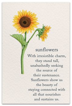 a cross stitch sunflower with the words sunflowers written on it and an image of a flower