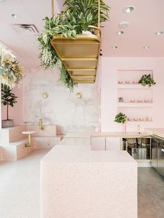 a kitchen with pink walls and white counter tops, plants hanging from the ceiling above