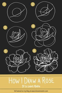 how to draw a rose step by step instructions for beginners with pictures and text