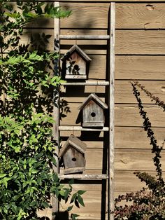 several bird houses are hanging on a wooden ladder