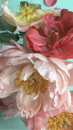 pink and yellow flowers on a blue background