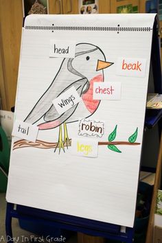 a drawing of a bird sitting on top of a white board with words written in it