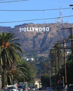 hollywood sign with palm trees and mountains in the background