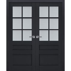 black double doors with glass panels on each side