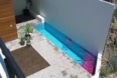 an aerial view of a small pool in the middle of a patio with plants and flowers