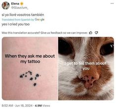 a cat's face and the caption says, when they ask me about my tattoo