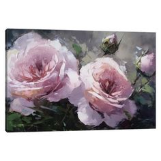 three pink roses on a white background