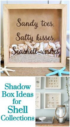 the shadow box ideas for shell collection are easy to make and perfect for beach decor