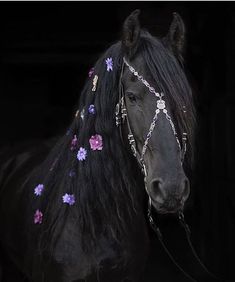 a black horse with flowers on it's head and bridle in the dark