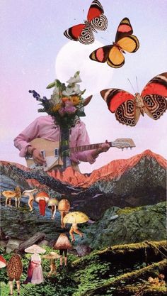 a collage of butterflies flying over a man with a guitar