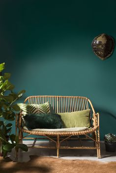 a green room with a wicker couch and potted plant in the corner, on instagram