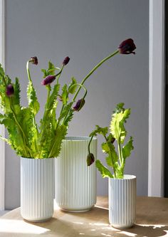 two white vases with plants in them on a table