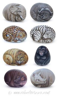 an image of different animals painted on rocks