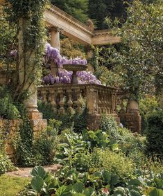 an outdoor garden with purple flowers and greenery