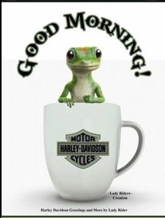 a frog sitting on top of a white coffee cup with the words good morning written above it