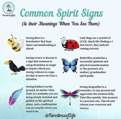 Spirit Animal Meaning, Spirit Signs, Spirit Messages, Spiritual Psychology, Spiritual Awakening Signs, Spiritual Animal, Witch Spirituality, Magic Spell Book, Spiritual Journals