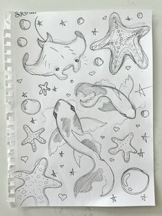 a drawing of sea animals and starfishs on paper