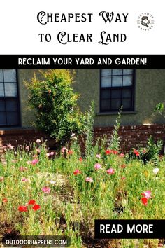 the front yard is full of flowers and grass with text overlay that reads, cheap way to clear sand reclaim your yard and garden