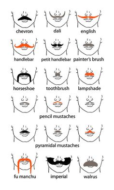 just in case you need to know all mustache types and the category they belong to :}) Pencil Mustache, Drag Make-up, Beard No Mustache