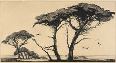 an old black and white photo of trees with birds flying over them in the background