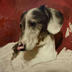 an oil painting of a dog on a red and white background, looking at the camera