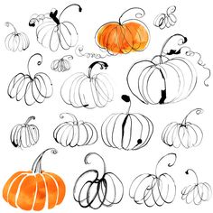 an image of pumpkins drawn by hand