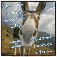 a donkey looking at the camera with a funny quote on it's face and mountains in the background