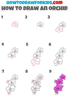 how to draw an orchid flower for kids with step by step instructions on how to draw flowers