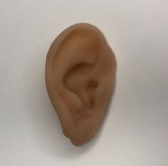 Unpainted prosthetic silicone ear, made with platinum silicone-safe, skin friendly and highly realistic material. Lifelike to touch. While these ear props are plain they are still extremely realistic. Fake blood can be added to it also to add to the realism or you could paint them yourself! It is the perfect accessory to your Halloween outfit, home decor and horror houses. It can also be used for a prank, a movie prop or theater productions. Jackie Taylor, Taylor Core, Horror House, Halloween Outfit, Movie Props, Halloween Outfits, Realism, Costume Accessories, Music Video