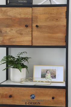 a shelf with some books and a potted plant