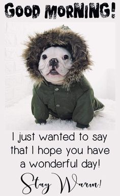 a dog wearing a jacket and hat with the caption, good morning i just wanted to say that i hope you have a wonderful day stay warm