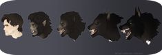 an image of five different wolf heads