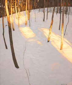 a painting of trees in the snow with light coming through them and shadows on the ground