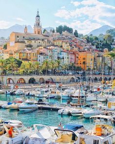 many boats are docked in the water near some buildings and palm trees with a clock tower on top