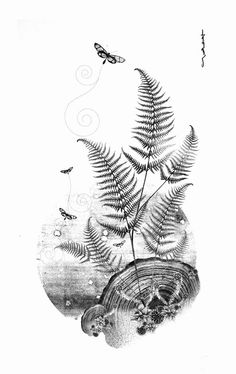 an ink drawing of ferns and butterflies