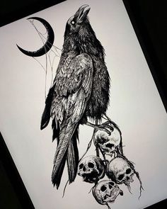 a drawing of a bird sitting on top of a tree branch with skulls underneath it